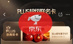 京东PLUS会员超值套餐：298元享年卡+5斤JJ车厘子+一堆VIP年卡-云创库